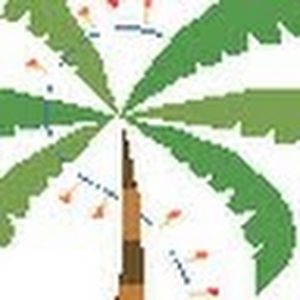 Meet your Posher, Yolanda